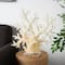 21" Cream Polystone Coral Sculpture with Clear Acrylic Base